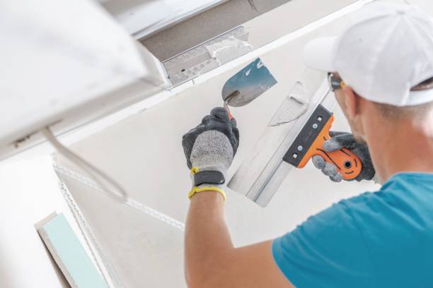 Columbine Valley, CO Mold Removal Company